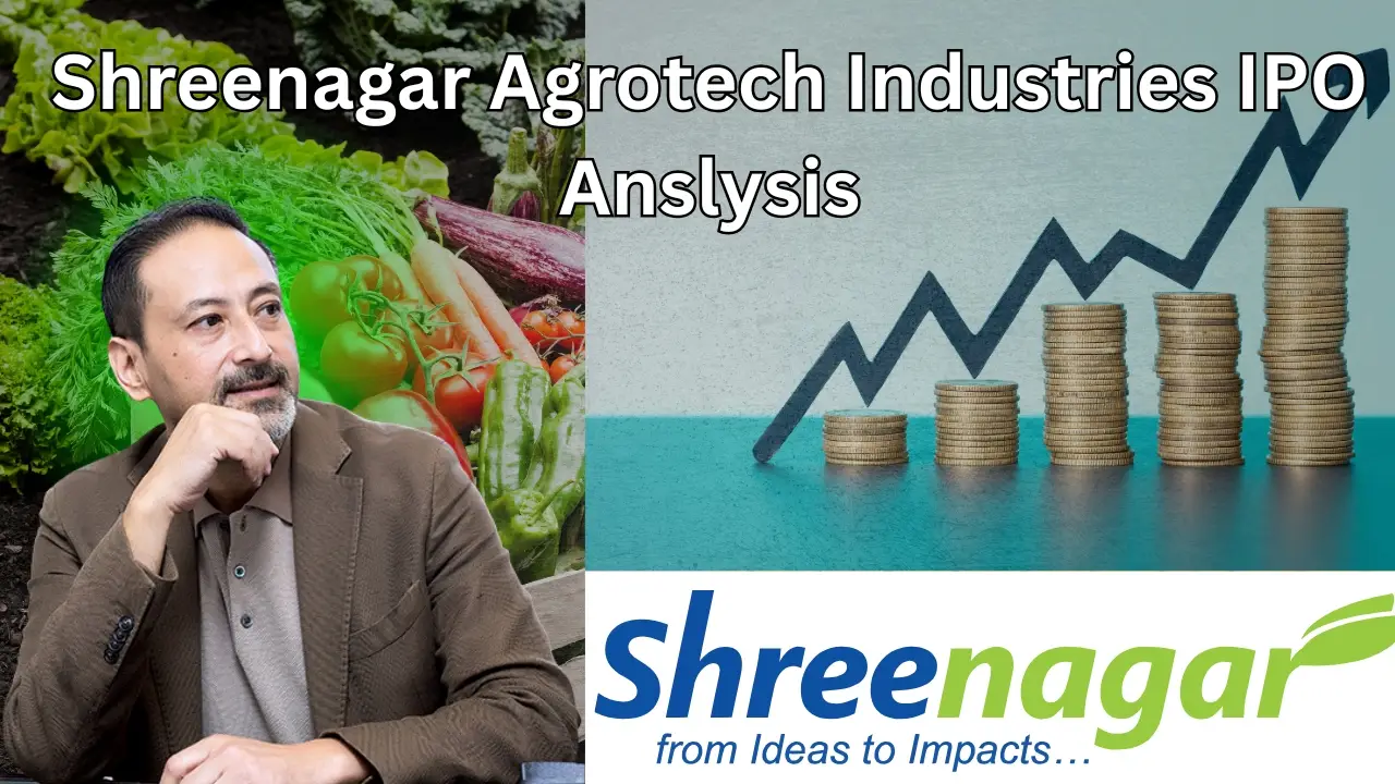 Shreenagar Agrotech Industries IPO Anslysis Shreenagar Agrotech Industries IPO Anslysis